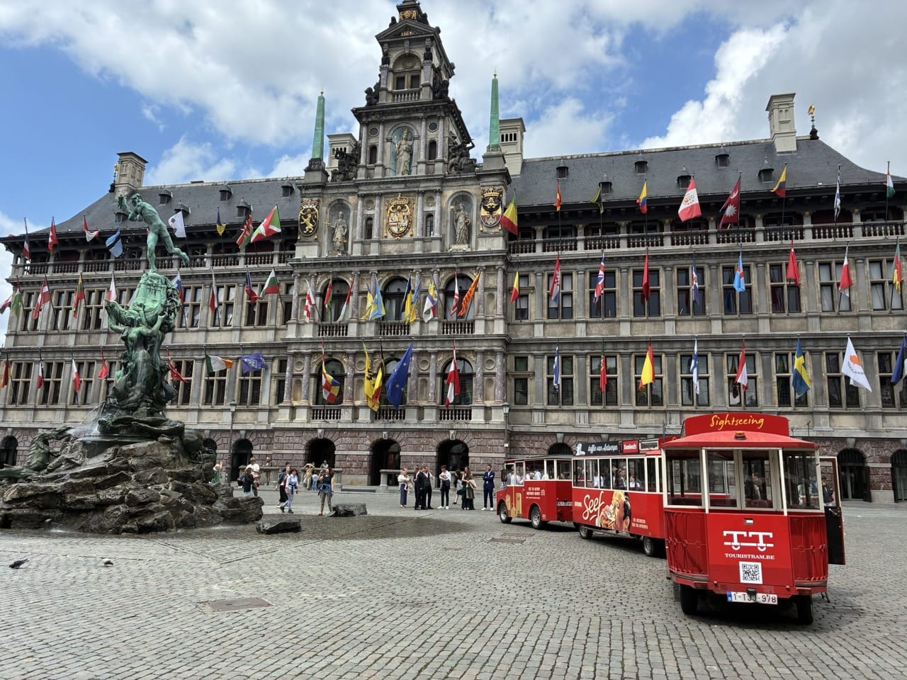 IMG_0349-2-scaled groot